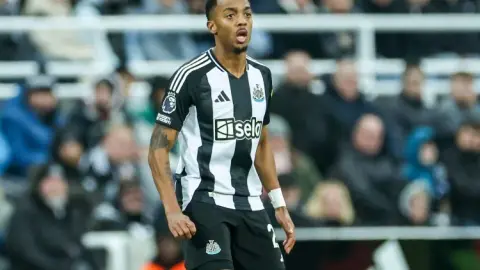 Phóng viên: Willock có thể rời Newcastle vào mùa hè này, Crystal Palace, Fulham, Leeds United, v.v. Đang chú ý đến anh