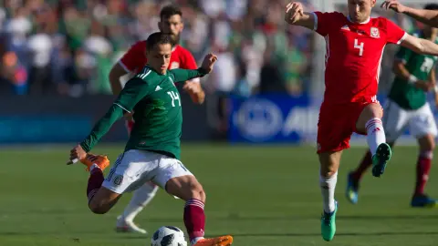 Hạt Đậu Nhỏ: Đây là World Cup cuối cùng của Ronaldo, tôi mong anh ấy có thể thể hiện phong độ tốt nhất