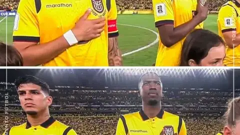 Hẹn gặp lại bạn ở đỉnh cao Champions League ngay bây giờ! Incapie và Pacho cùng nhau vô địch Copa Libertadores U20 Nam Mỹ