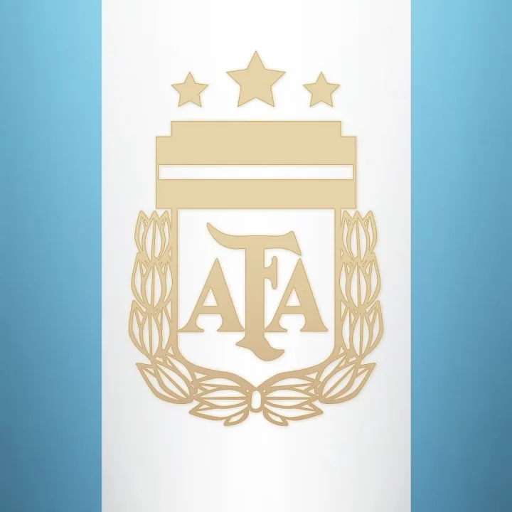 Blog chính thức của Argentina: Đại diện sẽ tới Bắc Kinh vào ngày 12/3 để tổ chức họp báo về World Cup (Trung Quốc)