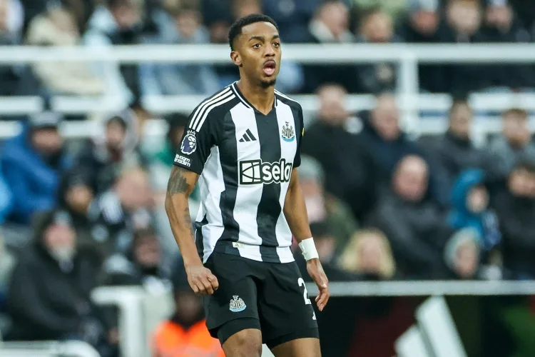 Phóng viên: Willock có thể rời Newcastle vào mùa hè này, Crystal Palace, Fulham, Leeds United, v.v. Đang chú ý đến anh