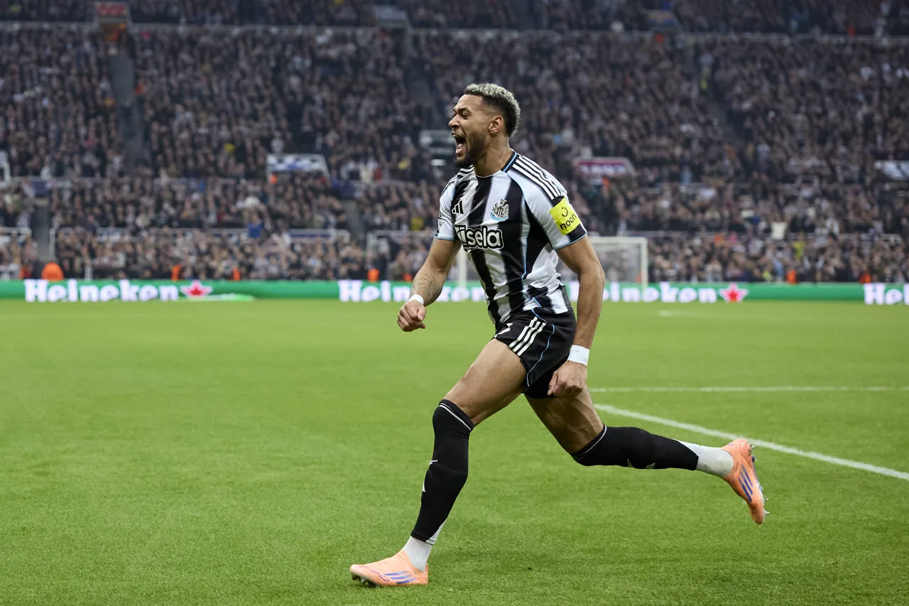 Phóng viên: Nghi ngờ Joelinton có thể đá trận gặp West Ham, Schar sẽ vắng mặt 2 trận gần nhất của Newcastle