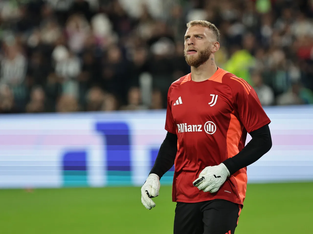 Truyền thông Italy: Di Gregorio có thể đá trận chia tay Juventus, Newcastle đã liên hệ với người đại diện