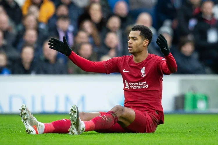 Tỷ lệ chuyển đổi cú sút ở Premier League mùa này: Gakpo 8.4% thấp nhất, Saka 10.3% đứng thứ 4
