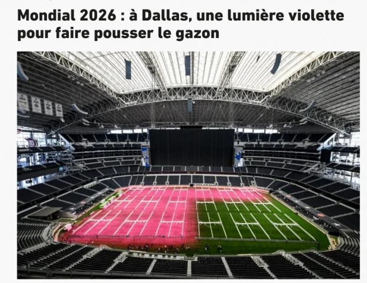 Dallas dùng đèn tím để nuôi mặt cỏ tự nhiên cho sân World Cup 2026