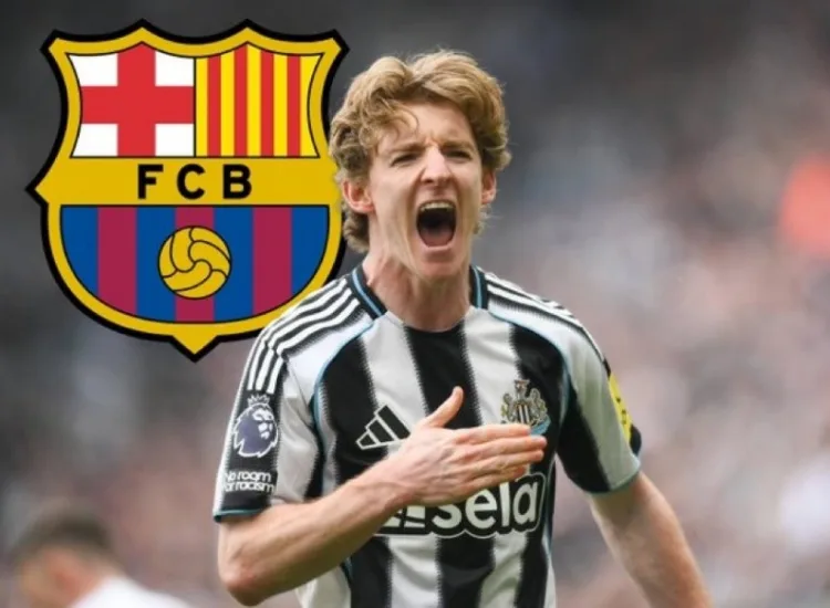 De Sky: Barcelona trả tổng cộng hơn 8 triệu euro cho Gordon và Newcastle chuẩn bị hoàn tất vụ chuyển nhượng trong vòng vài giờ 24