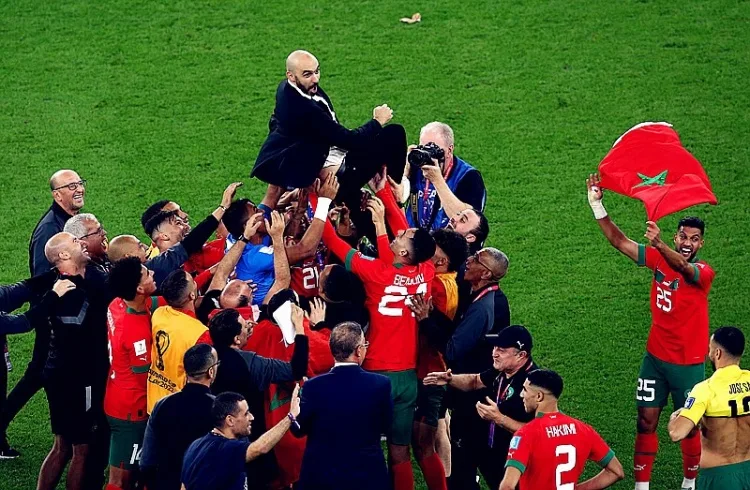 World Cup không thể thiếu những điều kỳ diệu. Bạn có còn nhớ câu chuyện về những chú ngựa ô này không?